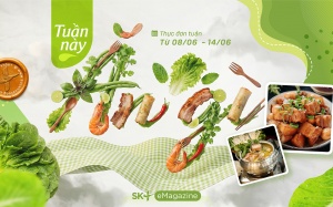 Gợi ý thực đơn 7 ngày trong tuần dành cho nội trợ