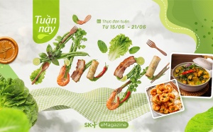 Thực đơn tuần đơn giản, dễ đưa cơm ngày Hè