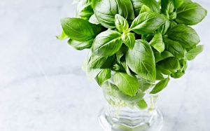 3 loại rau củ không nên cho vào tủ lạnh