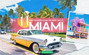 14 trải nghiệm mùa hè nên thử ở Miami