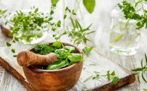 Bảo quản các loại rau thơm, gia vị phương Tây thế nào?