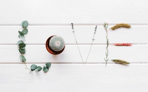 Tử vi thứ Sáu (3/7/2026): Nhân Mã không nên bỏ qua những chi tiết nhỏ
