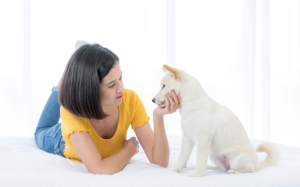 Trò chuyện với thú cưng có phải là một hành vi kỳ quặc?