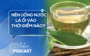Podcast: Nên uống nước lá ổi vào thời điểm nào?