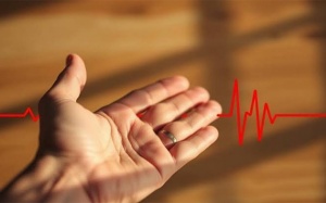 Tại sao tim đập nhanh, vã mồ hôi nhưng kiểm tra tim vẫn bình thường?
