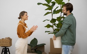 Tử vi thứ Bảy (8/8/2026): Nhân Mã sẽ có cảm hứng trang trí lại nhà cửa