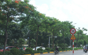 Vừa qua Lập Thu, nền nhiệt miền Bắc đã tăng nhẹ
