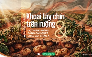 Khoai tây chín trên ruộng & Đợt nắng nóng đang càn quét Châu Âu, Châu Á