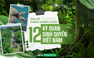 Tìm về thiên nhiên giữa 12 kỳ quan sinh quyển Việt Nam