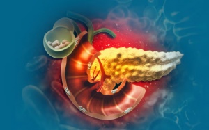 Sau ERCP lấy sỏi mật 1 tuần, dùng TPBVSK Kim Đởm Khang được không?
