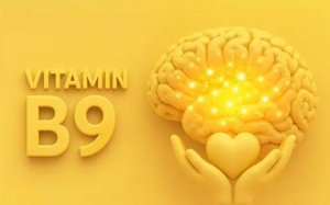 Mệt mỏi, hay quên có phải thiếu hụt vitamin B9?