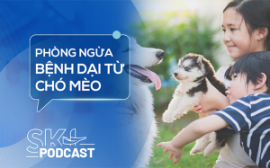 Podcast: Không chủ quan với bệnh dại từ chó, mèo nhà