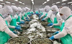 Tiếp tục tháo gỡ vướng mắc kiểm tra an toàn thực phẩm nhập khẩu