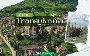 Có gì ở Transylvania?