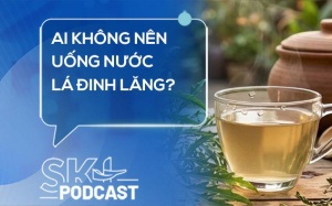 Podcast: Ai không nên uống nước lá đinh lăng?