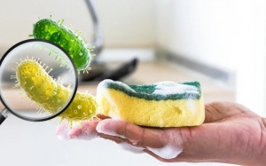 Làm sao để miếng rửa bát không thành ổ vi khuẩn?