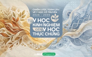 Chiến lược toàn cầu về y học cổ truyền 2026-2035: Từ y học kinh nghiệm đến y học thực chứng