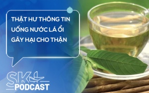 Podcast: Thật hư thông tin uống nước lá ổi gây hại cho thận