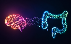 Vi khuẩn đường ruột có liên quan đến nguy cơ Alzheimer? 