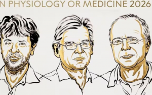 Nobel Y sinh 2026: Vinh danh 3 nhà khoa học dùng ánh sáng 'giải mã' não bộ