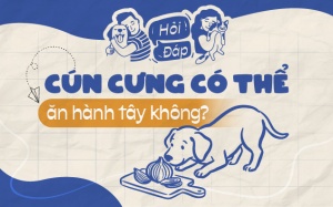 Cún cưng có thể ăn được hành tây không?