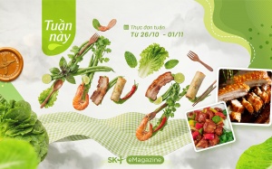 Thực đơn cơm ngon 7 ngày nhanh gọn, đủ chất