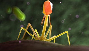 Công nghệ mới giúp tiêu diệt 99,9% vi khuẩn trong thực phẩm