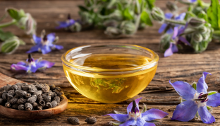 Cây lưu ly: Chứa thành phần hỗ trợ cải thiện da khô