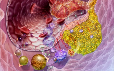 Phê chuẩn phương pháp xét nghiệm máu chẩn đoán mạch vành