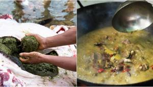 Lẩu... phân bò: Thử can đảm xem ai dám ăn!