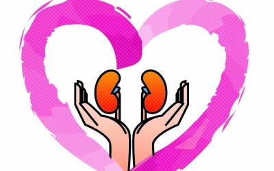 Thảo mộc trị 'độc' cho thận