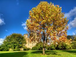 Phương pháp mới cai nghiện thuốc lá