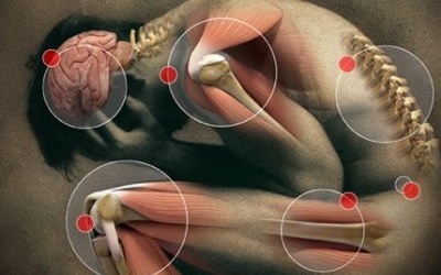 Cơn đau báo bệnh - chớ xem thường! 