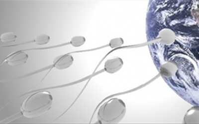 Quan hệ để... bảo vệ môi trường?