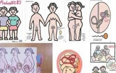 Cách giáo dục giới tính của Nhật, Mỹ