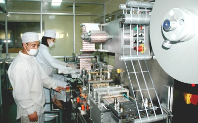 Không sản xuất hormone, nội tiết tố trên dây chuyền thuốc