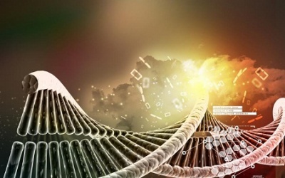 Vì đâu trẻ tự kỷ?