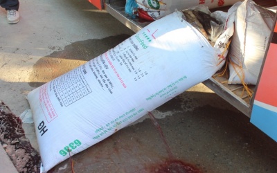 Thu giữ 600kg nội tạng 'bẩn' trên xe khách