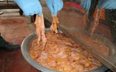 Kinh hoàng với ruốc 'cực bẩn'