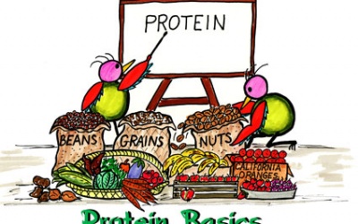 3 loại thực phẩm cung cấp lượng protein không ngờ