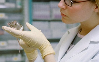 Nuôi cấy thành công ruột người trên... động vật