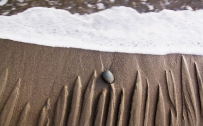 Photo: Nước - Chiến binh 'giải phóng' cơ thể bạn!