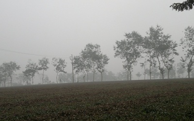 Thời tiết 21/1: Miền Bắc có sương mù nhẹ vào sáng sớm