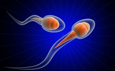 Có thể nâng cao chất lượng tinh trùng?