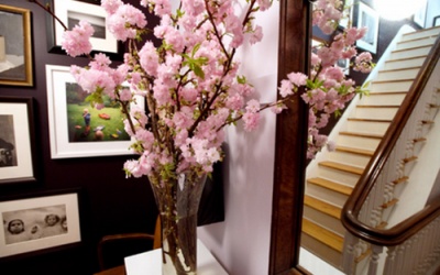 Chăm đào ngày Tết mang cát lợi cả năm