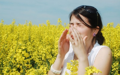 Đối phó với dị ứng thế nào?