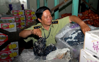 TP.HCM: Tạm giữ hàng chục tấn củ, quả nhập ngoại