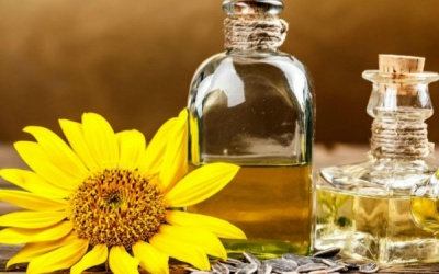 Tinh dầu hướng dương lợi cho tim mạch và sắc đẹp