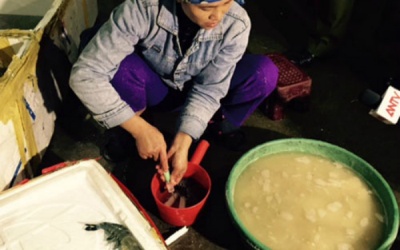 Đột kích cơ sở kinh doanh bơm tạp chất vào tôm đông lạnh