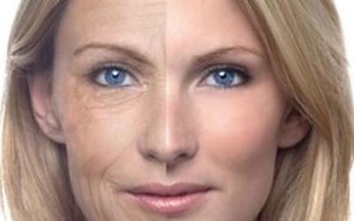 Top 20 thực phẩm chống lão hoá tốt nhất (P2)